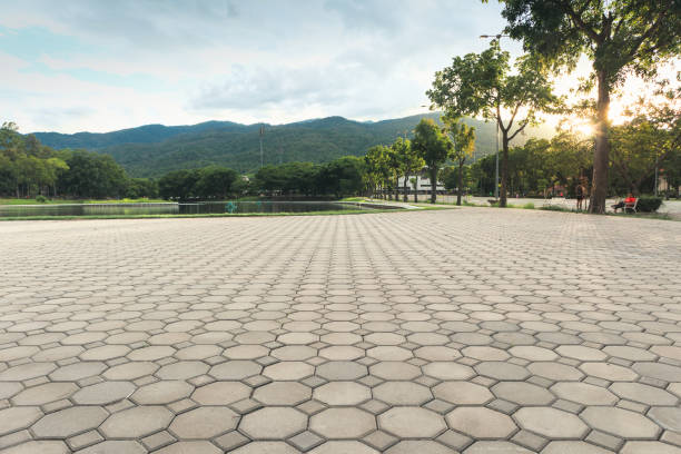 Best Driveway Pavers Near Me  in Perry Hall, MD